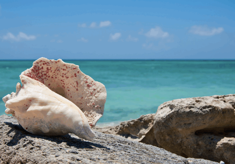 turksandcaicos-hero1