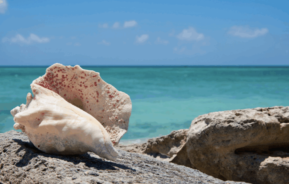 turksandcaicos-hero1